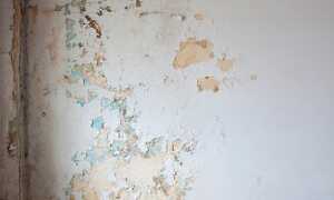 Как снять известку со стен без проблем