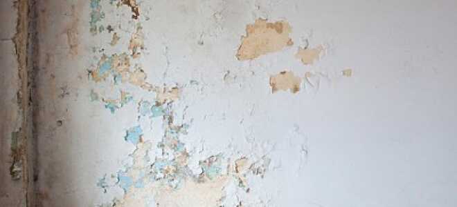 Как снять известку со стен без проблем