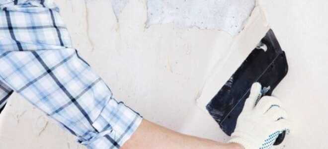 Инструкция по выравниванию стен под покраску