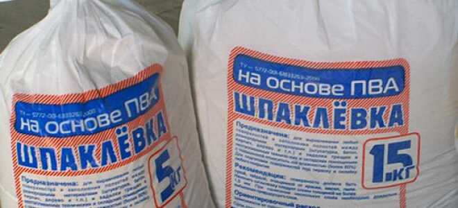 Шпатлевка или шпаклевка – как говорить и писать правильно