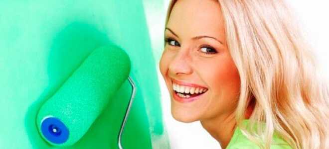 Шпаклевка стен под покраску: этапы выполнения работ