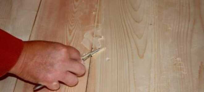 Шпаклевка для дерева – покупаем или готовим сами